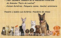 Personas y mascotas: ventajas y problemas